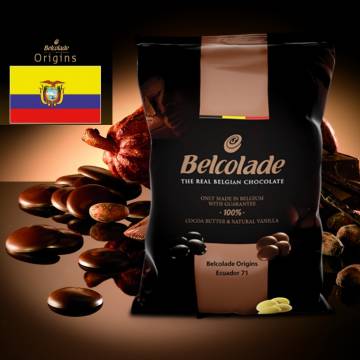 CIOCCOLATO ECUADOR 71 FONDENTE KG 1X8